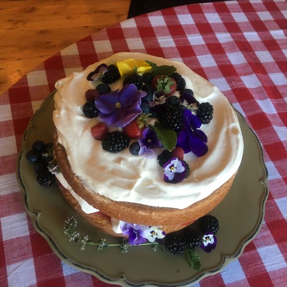 puddingpie1